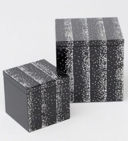Parallel Box